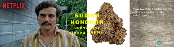 гидропоника Армянск