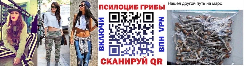Псилоцибиновые грибы ЛСД Цивильск