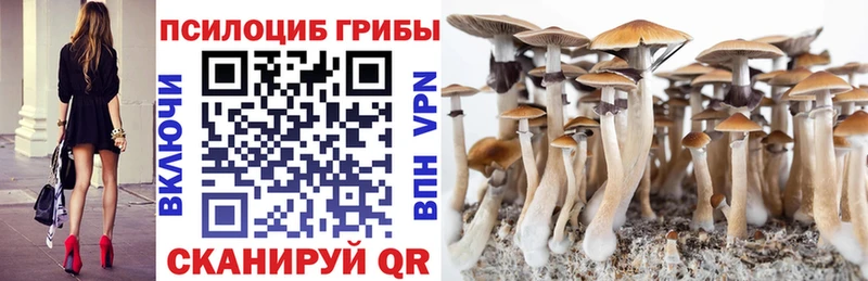Псилоцибиновые грибы прущие грибы Цивильск